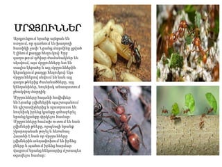 ՄՐՋՅՈՒՆՆԵՐ
Արդյունքում նրանք այնքան են
ուռչում, որ դառնում են խաղողի
հատիկի չափ։ Նրանց մարմինը լցված
է լինում քաղցր հեղուկով։ Երբ
գաղութում դժվար ժամանակներ են
սկսվում, այս մրջյունները ետ են
տալիս կերածը և այլ մրջյուններին
կերակրում քաղցր հեղուկով։ Այս
մրջյուններով սնվում են նաև այլ
գաղութներից ժամանածները, այլ
կենդանիներ, նույնիսկ անապատում
բնակվող մարդիկ։
Մրջյունները հայտնի հովիվներ
են։Նրանք լվիճներին պաշտպանում
են գիշատիչներից և պատրաստ են
նույնիսկ իրենց կյանքը զոհաբերել
նրանց կյանքը փրկելու համար։
Մրջյունները հաճախ ուտում են նաև
լվիճների թևերը, որպեսզի նրանք
չկարողանան թռչել և հեռանալ։
Հայտնի է նաև որ մրջյունները
լվիճներին տեղափոխում են իրենց
բները և պահում իրենց հարմար
վայրում՝նրանց նեկտարից մշտապես
օգտվելու համար:
 