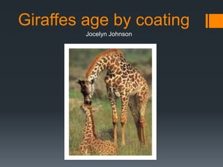 Giraffes age by coating
         Jocelyn Johnson
 
