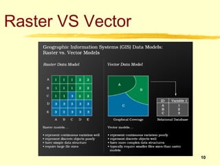 Raster VS Vector




                   10
 