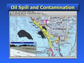 Oil Spill and Contamination 