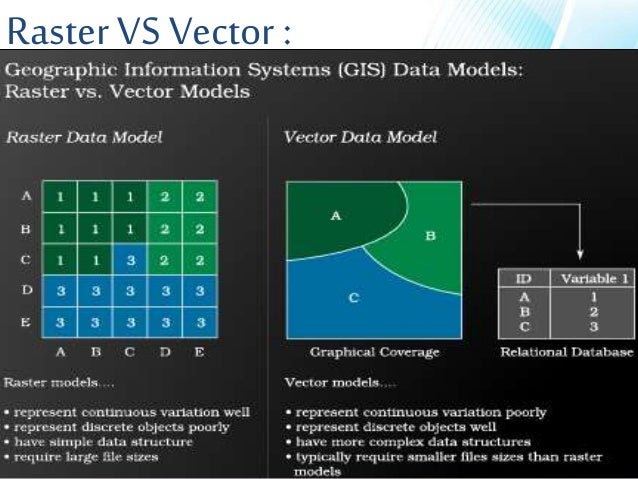 raster vs vector data