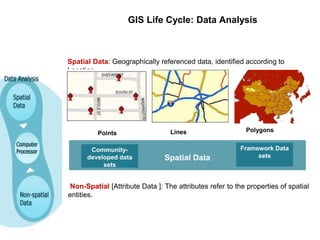 GIS Life Cycle: Data Analysis
Spatial Data: Geographically referenced data, identified according to
Location.
Points Lines Polygons
Non-Spatial [Attribute Data ]: The attributes refer to the properties of spatial
entities.
Spatial Data
Community-
developed data
sets
Framework Data
sets
 