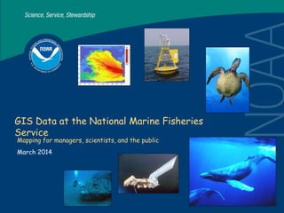 GIS Data at the National Marine Fisheries
Service
Mapping for managers, scientists, and the public
March 2014
 