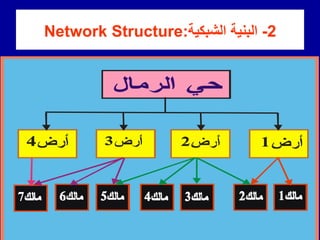 2
-
‫الشبكٌة‬ ‫البنٌة‬
:
Network Structure
 
