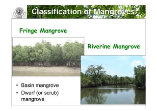 GIS and landscape Restoration