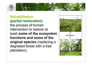 GIS and landscape Restoration