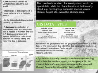 Types of GIS Data | PPTX