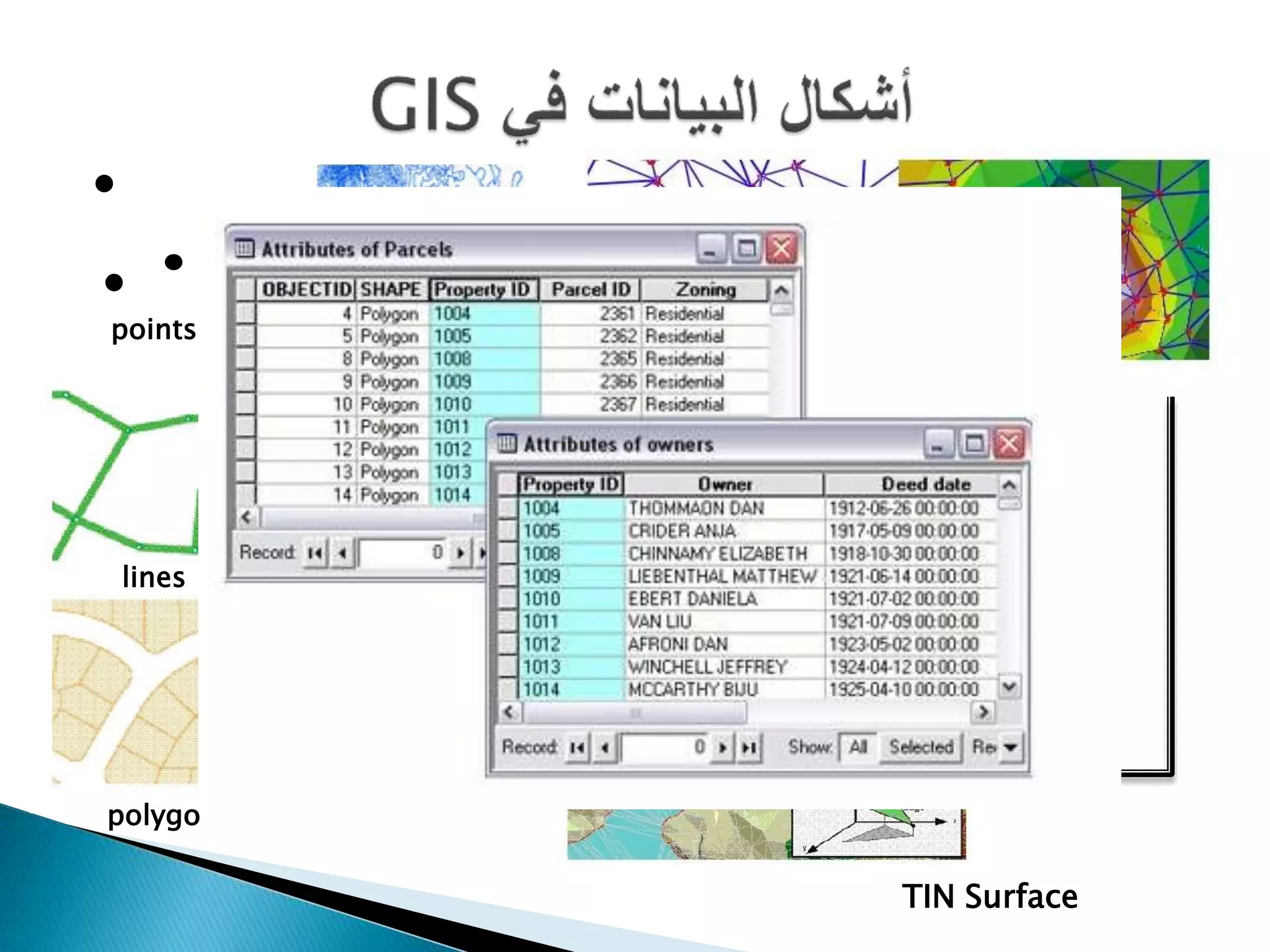 TIN Surface
DEM
TIN Surface
Contour bands
Contour Lines
points
lines
polygo
 