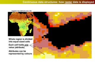 Continuous data structures: how raster data is displayed




Whole region is divided
into equal sized cells
Each cell holds one
value (attribute)
Attributes can be
represented by colours
 