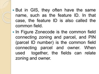  But in GIS, they often have the same
name, such as the feature ID. In that
case, the feature ID is also called the
common ﬁeld.
 In Figure Zonecode is the common ﬁeld
connecting zoning and parcel, and PIN
(parcel ID number) is the common ﬁeld
connecting parcel and owner. When
used together, the ﬁelds can relate
zoning and owner.
 