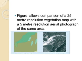  Figure allows comparison of a 25
metre resolution vegetation map with
a 5 metre resolution aerial photograph
of the same area.
 