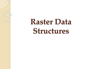 Raster Data
Structures
 
