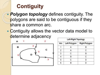 Contiguity
 Polygon topology defines contiguity. The
polygons are said to be contiguous if they
share a common arc.
 Contiguity allows the vector data model to
determine adjacency
 
