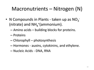 Macronutrients – Nitrogen (N)
• N Compounds in Plants - taken up as NO3-
  (nitrate) and NH4+(ammonium).
  – Amino acids – building blocks for proteins.
  – Proteins
  – Chlorophyll – photosynthesis
  – Hormones - auxins, cytokinins, and ethylene.
  – Nucleic Acids - DNA, RNA



                                                   12
 