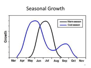 Seasonal Growth




                  28
 