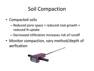 Soil Compaction
• Compacted soils
  – Reduced pore space = reduced root growth =
    reduced N uptake
  – Decreased infiltration increases risk of runoff
• Monitor compaction, vary method/depth of
  aerfication
 