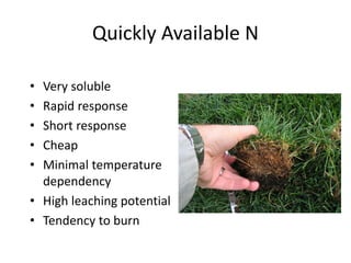 Quickly Available N

• Very soluble
• Rapid response
• Short response
• Cheap
• Minimal temperature
  dependency
• High leaching potential
• Tendency to burn
 