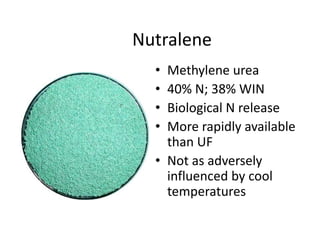 Nutralene
  • Methylene urea
  • 40% N; 38% WIN
  • Biological N release
  • More rapidly available
    than UF
  • Not as adversely
    influenced by cool
    temperatures
 