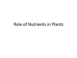 Role of Nutrients in Plants
 