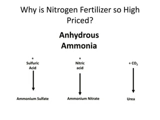 Why is Nitrogen Fertilizer so High
             Priced?
                   Anhydrous
                   Ammonia
       +                  +
    Sulfuric            Nitric         + CO2
     Acid               acid




Ammonium Sulfate    Ammonium Nitrate   Urea
 