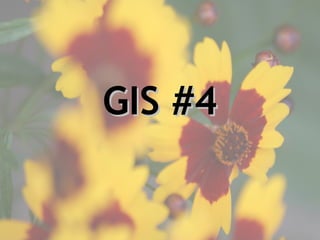 GIS #4 
