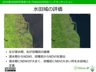 　GISA第20回研究発表大会 FOSS4G分科会ハンズオンセッション


                水田域の評価




  ●   左が湛水期、右が収穫前の画像
  ●   湛水期からNDWI、収穫前からNDVIを算出
  ●   湛水期にNDWIが大きく、収穫前にNDVI大きい所を水田域と
      定義
 