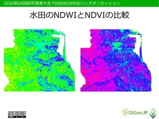 　GISA第20回研究発表大会 FOSS4G分科会ハンズオンセッション


        水田のNDWIとNDVIの比較
 
