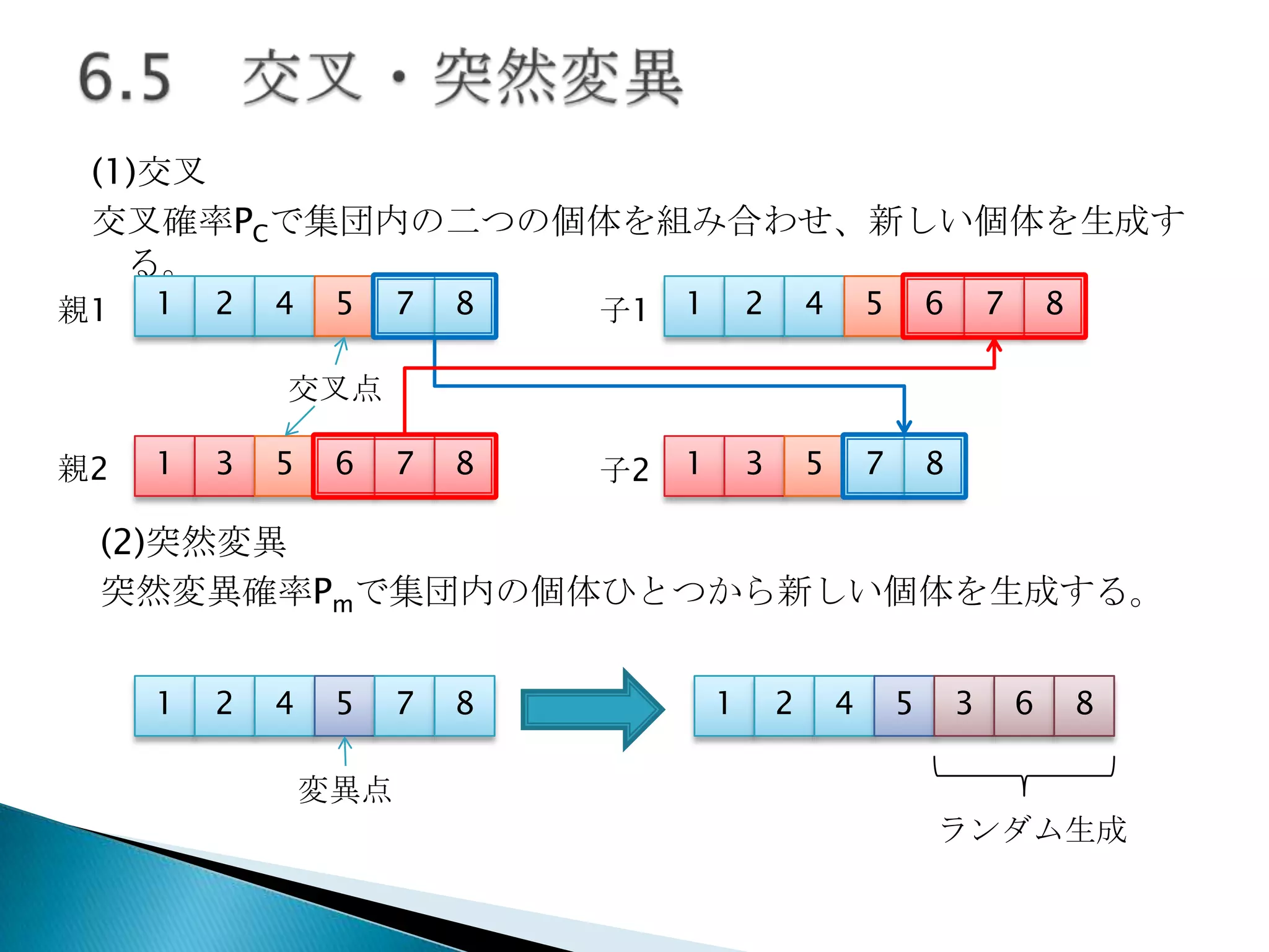 (1)交叉
交叉確率PCで集団内の二つの個体を組み合わせ、新しい個体を生成す
る。
親1

1

2

4

5

7

8

子1

1

2

4

5

6

7

8

子2

1

3

5

7

7

8

8

交叉点
親2

1

3

5

6

(2)突然変異
突然変異確率Pmで集団内の個体ひとつから新しい個体を生成する。
1

2

4

5

7

8

1

2

4

5

3

6

8

変異点
ランダム生成

 