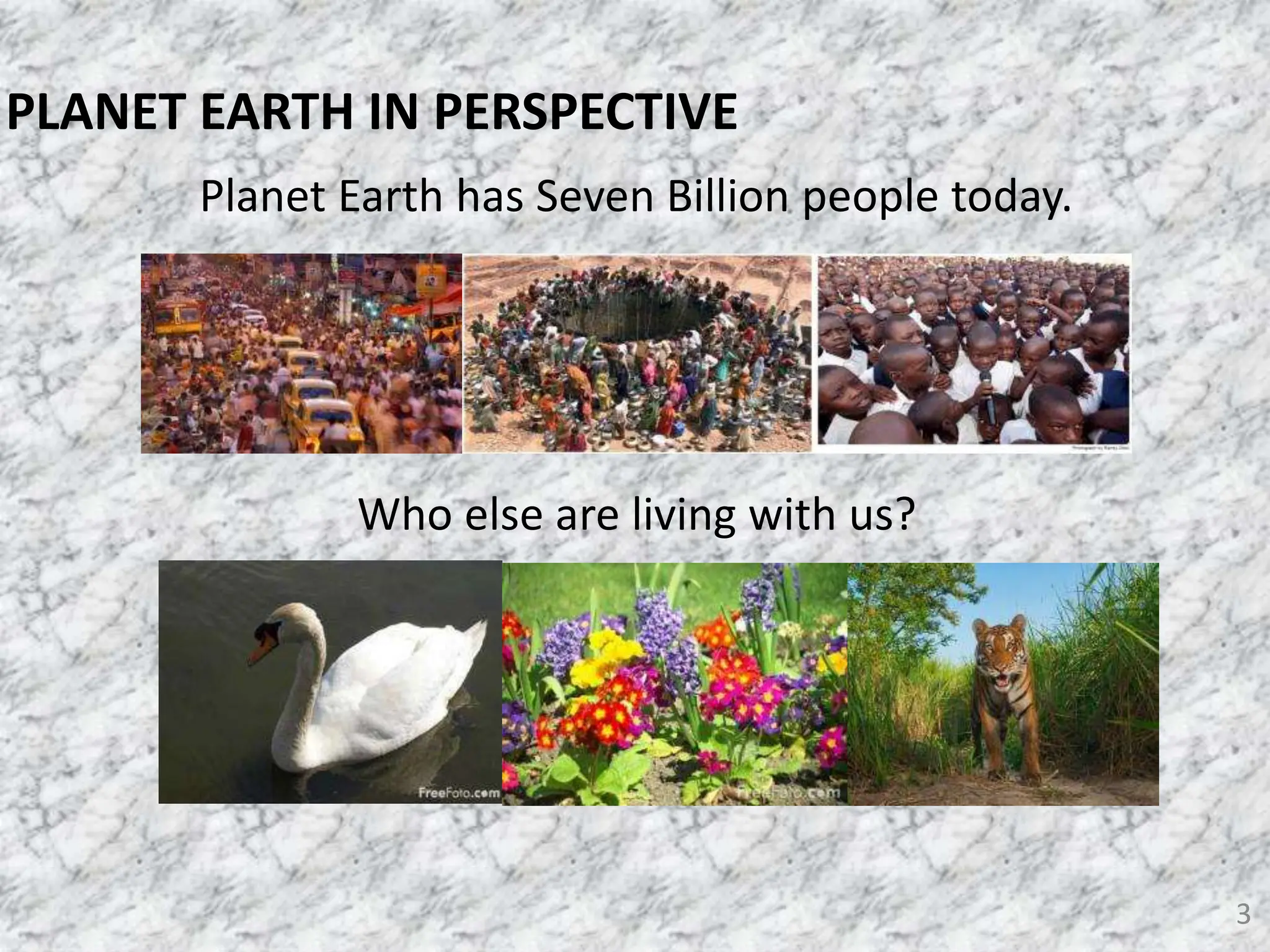 Planet Earth has Seven Billion people today.
Who else are living with us?
3
PLANET EARTH IN PERSPECTIVE
 