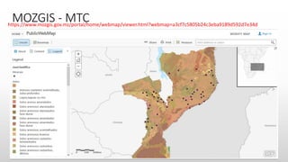 MOZGIS - MTChttps://www.mozgis.gov.mz/portal/home/webmap/viewer.html?webmap=a3cf7c5805b24c3eba9189d592d7e34d
 