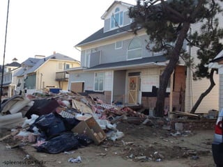 -spleeness on flickr
 