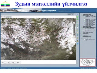 Зудын мэдээллийн үйлчилгээ
 