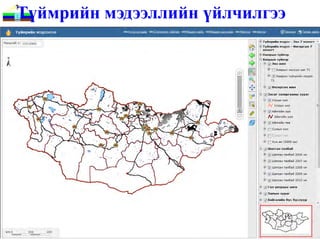 Түймрийн мэдээллийн үйлчилгээ
 