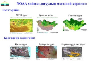 NOAA хиймэл дагуулын мэдээний хэрэглээ:
Бэлчээрийн:
        NDVI зураг    Ургацын зураг          Гангийн зураг




Байгалийн гамшгийн:

        Цасны зураг   Түймрийн зураг   Шороон шуурганы зураг
 