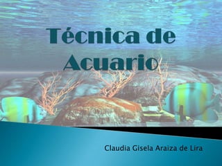 Claudia Gisela Araiza de Lira
 