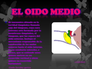 EL OIDO MEDIO
 Se encuentra situado en la
cavidad timpánica llamada
caja del tímpano, cuya cara
extrema esta formada por la
membrana timpánica, el
tímpano, que los separa del
oído externo. Incluye el
mecanismo responsable de la
conducción de las ondas
sonoras hacia el oído interno.
Es un conducto estrecho, o
fisura, que se extiende unos
quince metros en un
recorrido vertical y otros
quince en recorrido
horizontal.
11/03/2013
Giselle González garnica
 