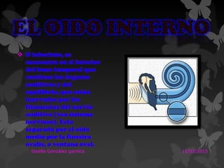  O laberinto, se
encuentra en el interior
del huso temporal que
contiene los órganos
auditivos y del
equilibrio, que están
inervados por los
filamentos del nervio
auditivo (vea sistema
nervioso). Esta
separado por el oído
medio por la finesira
ovalis, o ventana oval.
11/03/2013Giselle González garnica
 