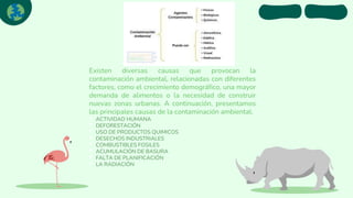 Existen diversas causas que provocan la
contaminación ambiental, relacionadas con diferentes
factores, como el crecimiento demográfico, una mayor
demanda de alimentos o la necesidad de construir
nuevas zonas urbanas. A continuación, presentamos
las principales causas de la contaminación ambiental.
• ACTIVIDAD HUMANA
• DEFORESTACIÓN
• USO DE PRODUCTOS QUIMICOS
• DESECHOS INDUSTRIALES
• COMBUSTIBLES FOSILES
• ACUMULACIÓN DE BASURA
• FALTA DE PLANIFICACIÓN
• LA RADIACIÓN
 