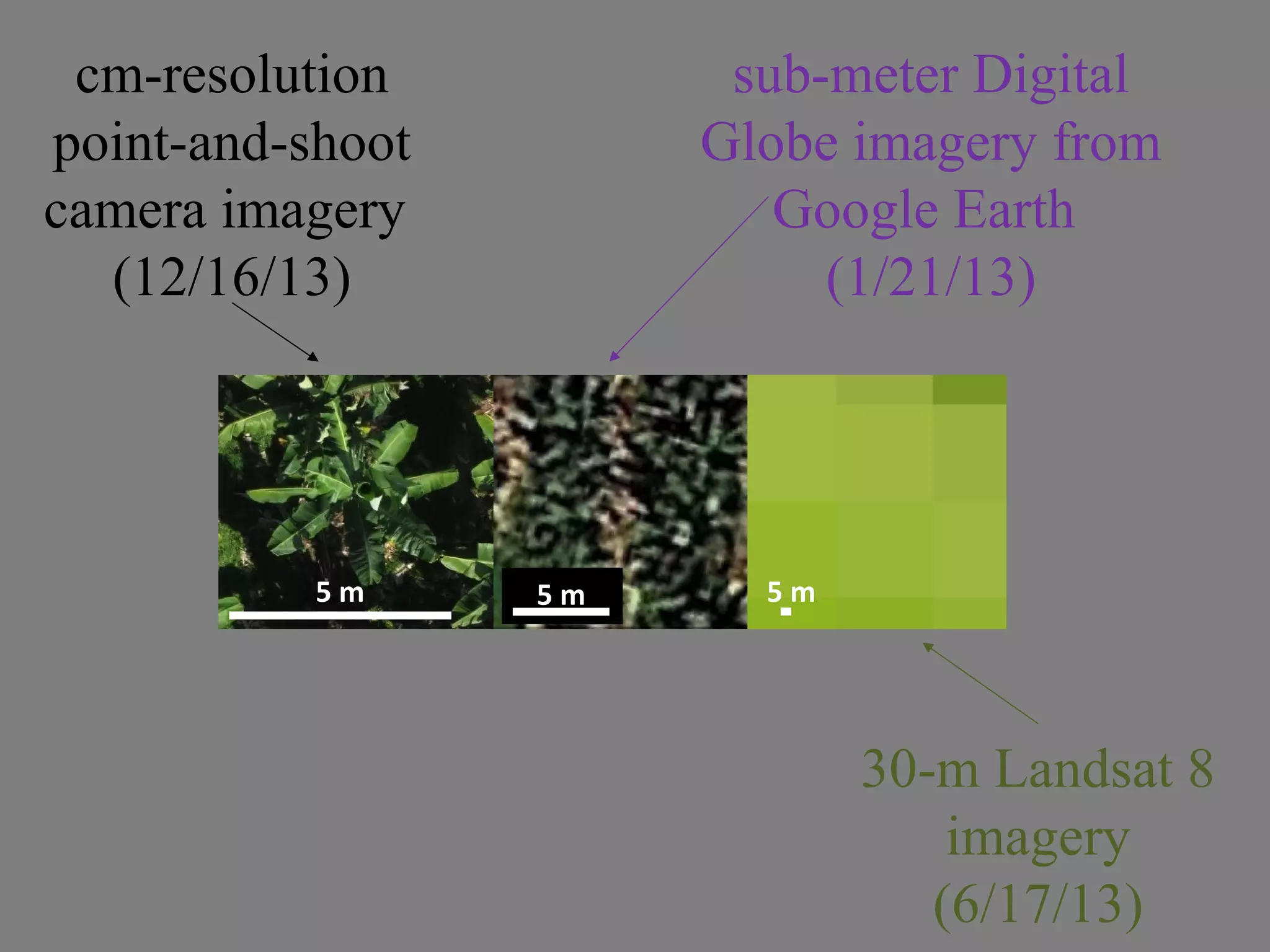 5 m 5 m 5 m
cm-resolution
point-and-shoot
camera imagery
(12/16/13)
sub-meter Digital
Globe imagery from
Google Earth
(1/21/13)
30-m Landsat 8
imagery
(6/17/13)
 