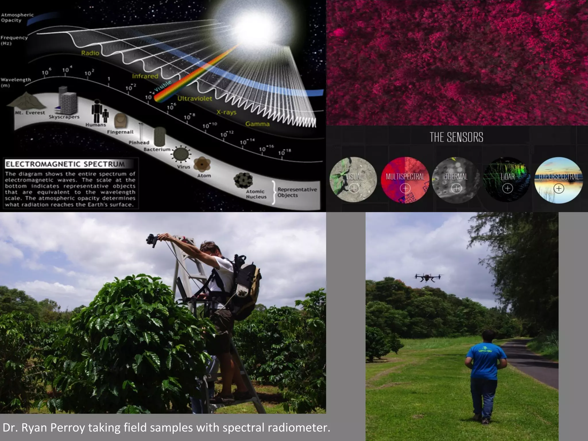 Dr. Ryan Perroy taking field samples with spectral radiometer.
 