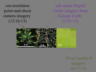 5 m 5 m 5 m
cm-resolution
point-and-shoot
camera imagery
(12/16/13)
sub-meter Digital
Globe imagery from
Google Earth
(1/21/13)
30-m Landsat 8
imagery
(6/17/13)
 