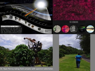 Dr. Ryan Perroy taking field samples with spectral radiometer.
 