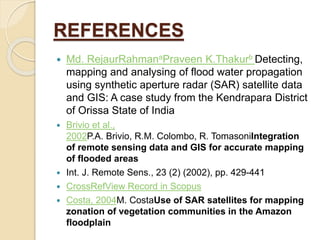 Flood risk mapping using GIS and remote sensing and SAR | PPTX