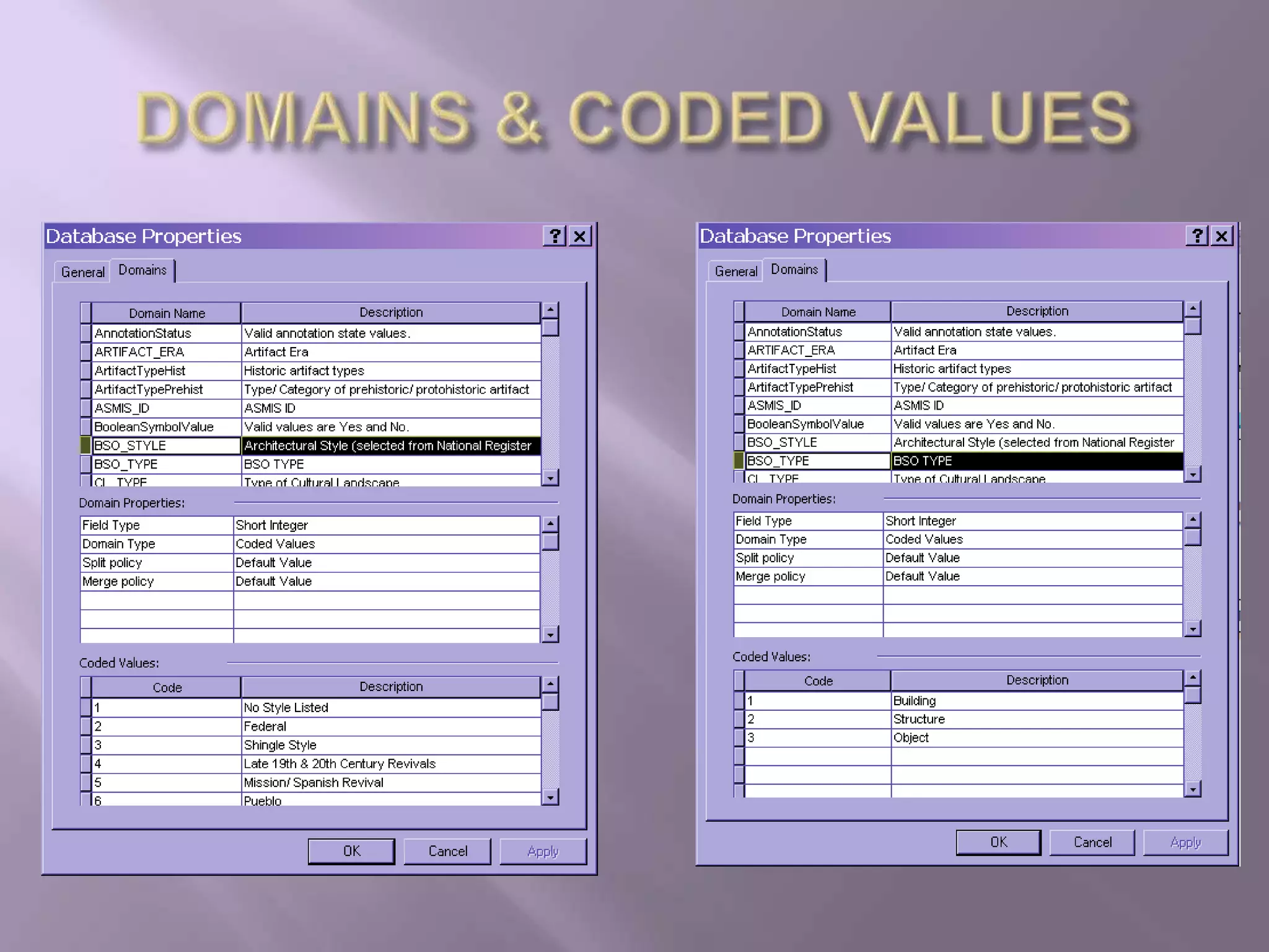 DOMAINS & CODED VALUES