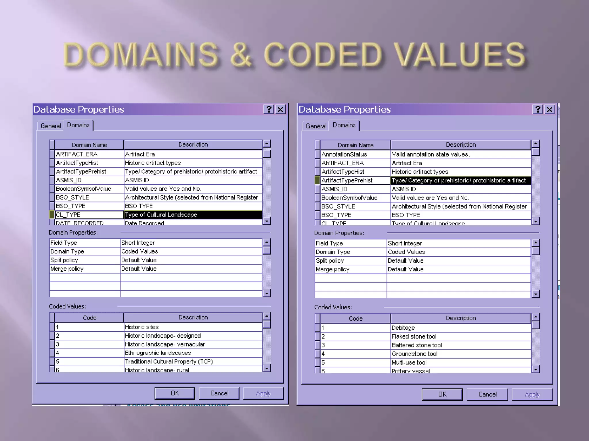 DOMAINS & CODED VALUES