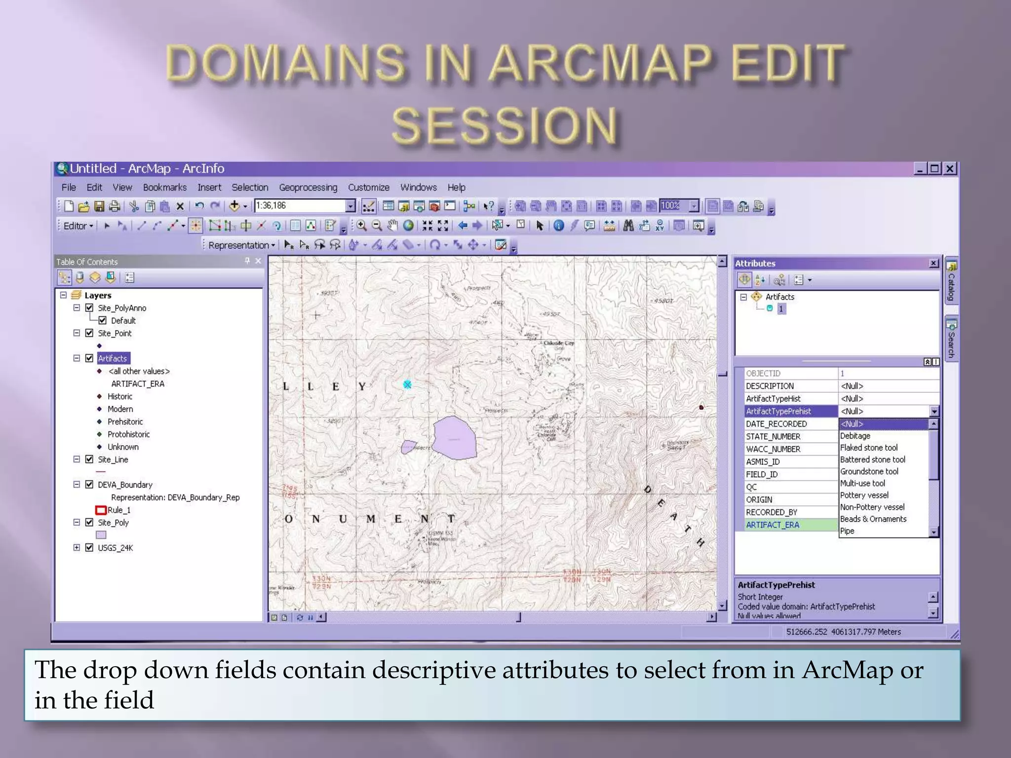 DOMAINS IN ARCMAP EDIT SESSIONThe drop down fields contain descriptive attributes to select from in ArcMap or in the field