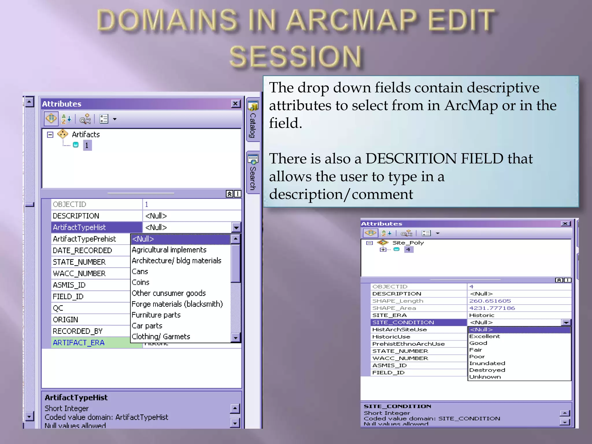 DOMAINS IN ARCMAP EDIT SESSIONThe drop down fields contain descriptive attributes to select from in ArcMap or in the field.There is also a DESCRITION FIELD that allows the user to type in a description/comment