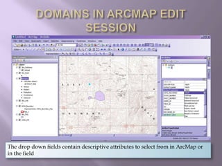 DOMAINS IN ARCMAP EDIT SESSIONThe drop down fields contain descriptive attributes to select from in ArcMap or in the field