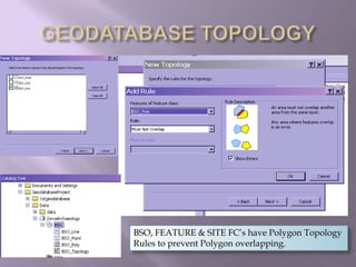 GEODATABASE TOPOLOGYBSO, FEATURE & SITE FC’s have Polygon Topology Rules to prevent Polygon overlapping.