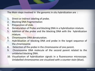 The Main steps involved in the genomic in situ hybridization are :
1. Direct or indirect labeling of probe.
2. Blocking DNA fragmentation
3. Preparation of slide.
4. Denaturation of Probe and blocking DNA in a hybridization mixture.
5. Addition of the probe and the blocking DNA with the hybridization
mixture.
6. Chromosome DNA denaturation.
7. Hybridization of blocking DNA and probe in the target sequence of
the chromosome.
8. Detection of the probe in the chromosome of one parent.
9. Chromosome DNA molecule of the second parent related to the
unlabeled blocking DNA.
10. Visualization of hybridization signals in a fluorescence microscope.
Unlabelled chromosomes are visualized with a counter-stain (blue).
 